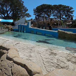 Shipwreck Rapids - Sea Turtle Exhibit 1