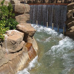 Shipwreck Rapids - Ride