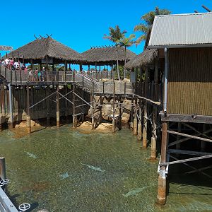 Shipwreck Rapids - Island Traders