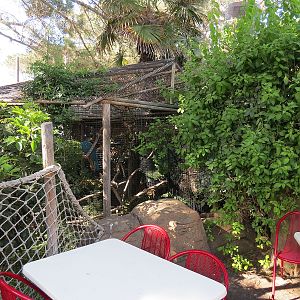 Shipwreck Rapids - Shipwreck Reef Cafe - Great Blue Turaco Exhibit