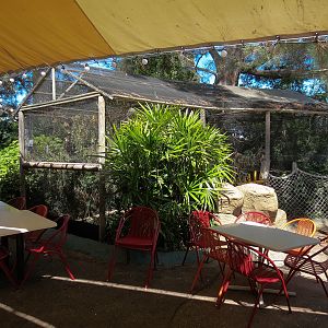 Shipwreck Rapids - Shipwreck Reef Cafe - Taveta Golden Weaver Exhibit