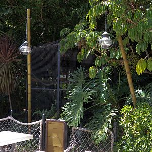 Shipwreck Rapids - Shipwreck Reef Cafe - Knobbed Hornbill Exhibit