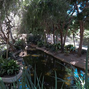 Shipwreck Rapids - Shipwreck Reef Cafe - Waterfowl Lagoon