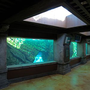 Manta - Bat Ray Aquarium Underwater Viewing