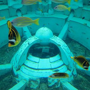 Journey To Atlantis - Window To The Sea