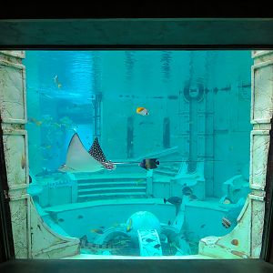 Journey To Atlantis - Window To The Sea