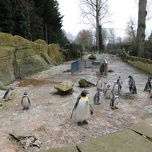 View of Penguin Enclosure .