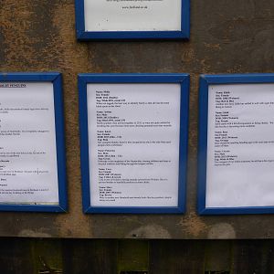 Details of the 15 Humboldt penguins .