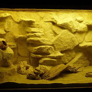 Exhibit in 'Arachnoland' .