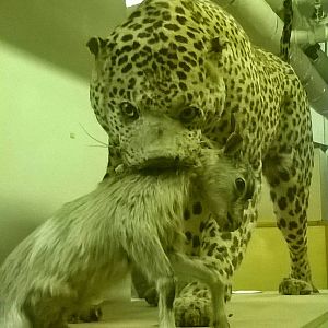 behind the scenes City of Bristol Museum