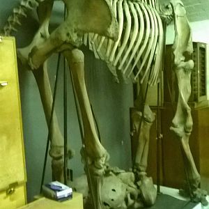 behind the scenes City of Bristol Museum