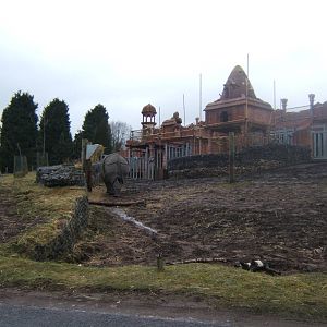 Indian Rhino and House