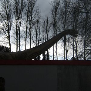 The Big Secret for 2015