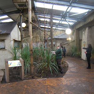 View inside Lorikeet Landings
