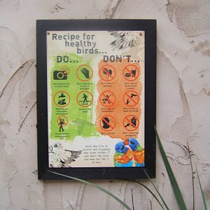 View of rules Lorikeet Landings