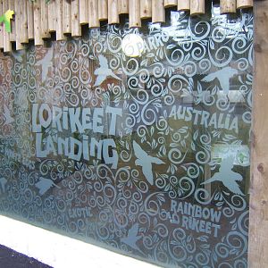 Lorikeet Landings windows