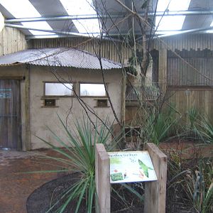 View inside of Lorikeet Landings