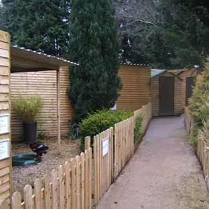 Hagley Falconry Centre