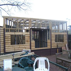 Latest view of the new Raccoon enclosure constuction