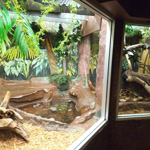 Safari's 2014 JBZ Trip