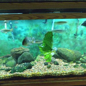 Safari's 2014 JBZ Trip