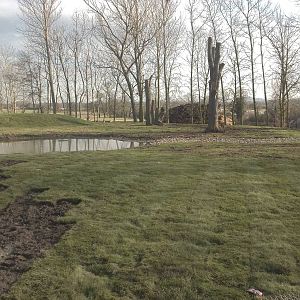 Progress on Rhinoceros development, 18th February 2015