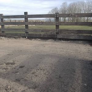 Progress on Rhinoceros development, 18th February 2015