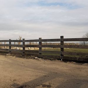 Progress on Rhinoceros development, 18th February 2015