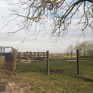 Progress on Rhinoceros development, 18th February 2015