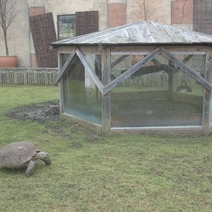 Outside today! 18th February 2015