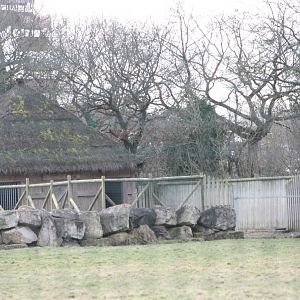 Addax house, 18th February 2015