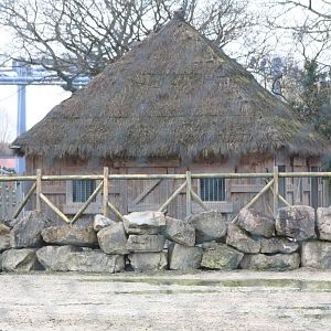 Addax house, 18th February 2015