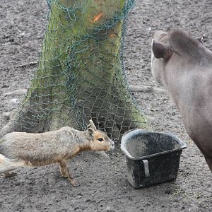 Sneaking in, 18th February 2015