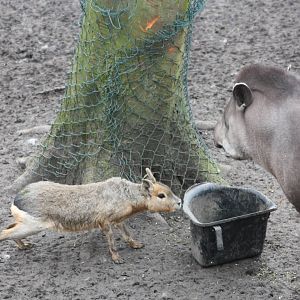 Sneaking in, 18th February 2015