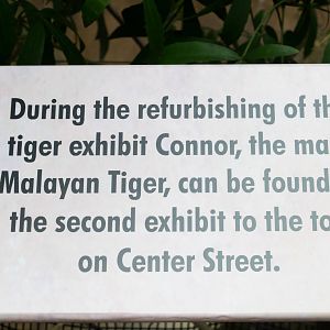 Tiger exhibit construction