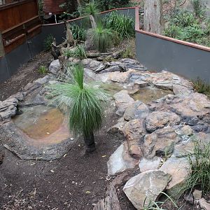 Blackbutt Reserve-Renovated Enclosure