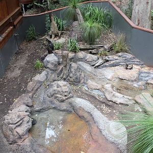 Blackbutt Reserve-Renovated Enclosure