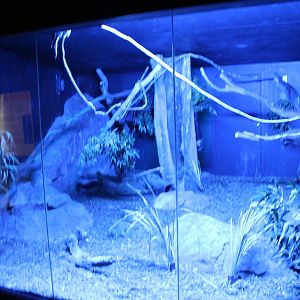 Blackbutt Reserve-Nocturnal Building