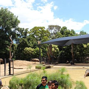 Elephant Enclosure