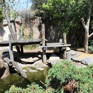 Syrian Brown Bear Enclosure