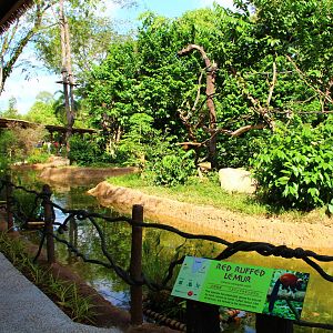 Gibbon Island - Red Ruffed Lemur exhibit