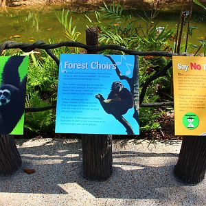 Gibbon Island - Signage