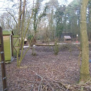 View of work on new outdoor classroom