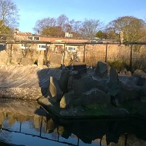 View of Penguin Rock