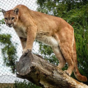 Sep. 2014 - Cat Canyon - Joseph