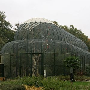 Urucu Aviary