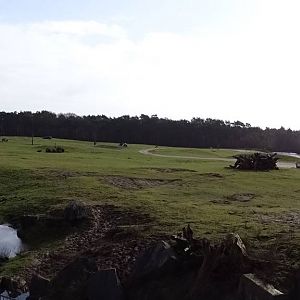 Giraffe/zebra/antilope enclosure