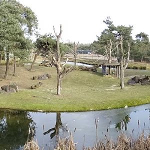 Gorilla/guereza enclosure