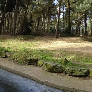 Part of the spotted hyena enclosure