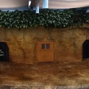 Hippopotamus indoor enclosure